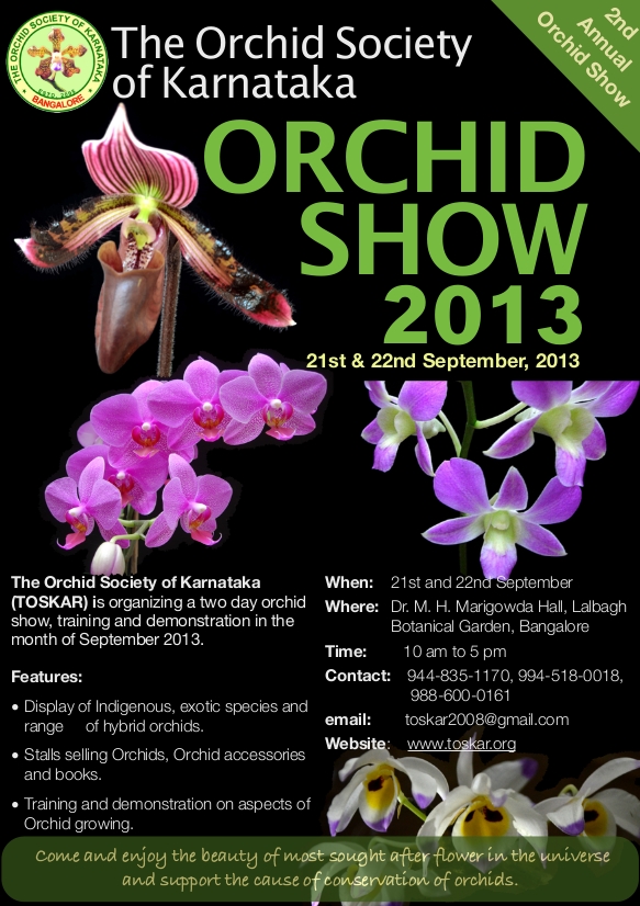 Orchid Show 2013